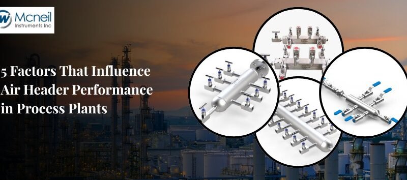 Air header systems with multiple valves and outlets for process plant applications